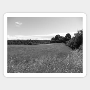 Millport Fields, Scotland. West Coast, off  the Isle of Cumbrae Sticker